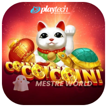 PLAYTECH66